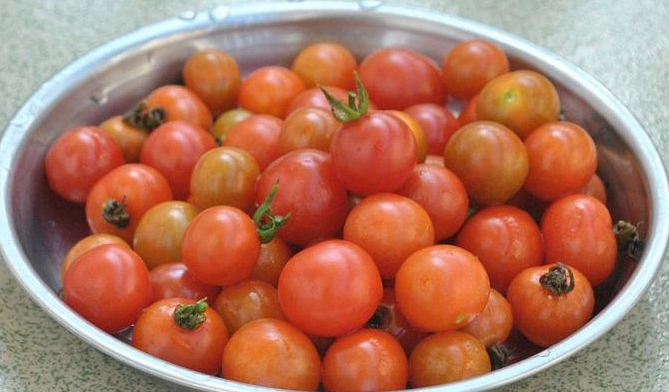 野西红柿洗干净,去除叶子,装盘备用.