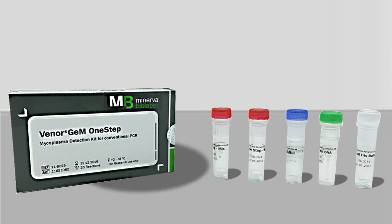 Minerva公司的支原体DNA提取试剂盒