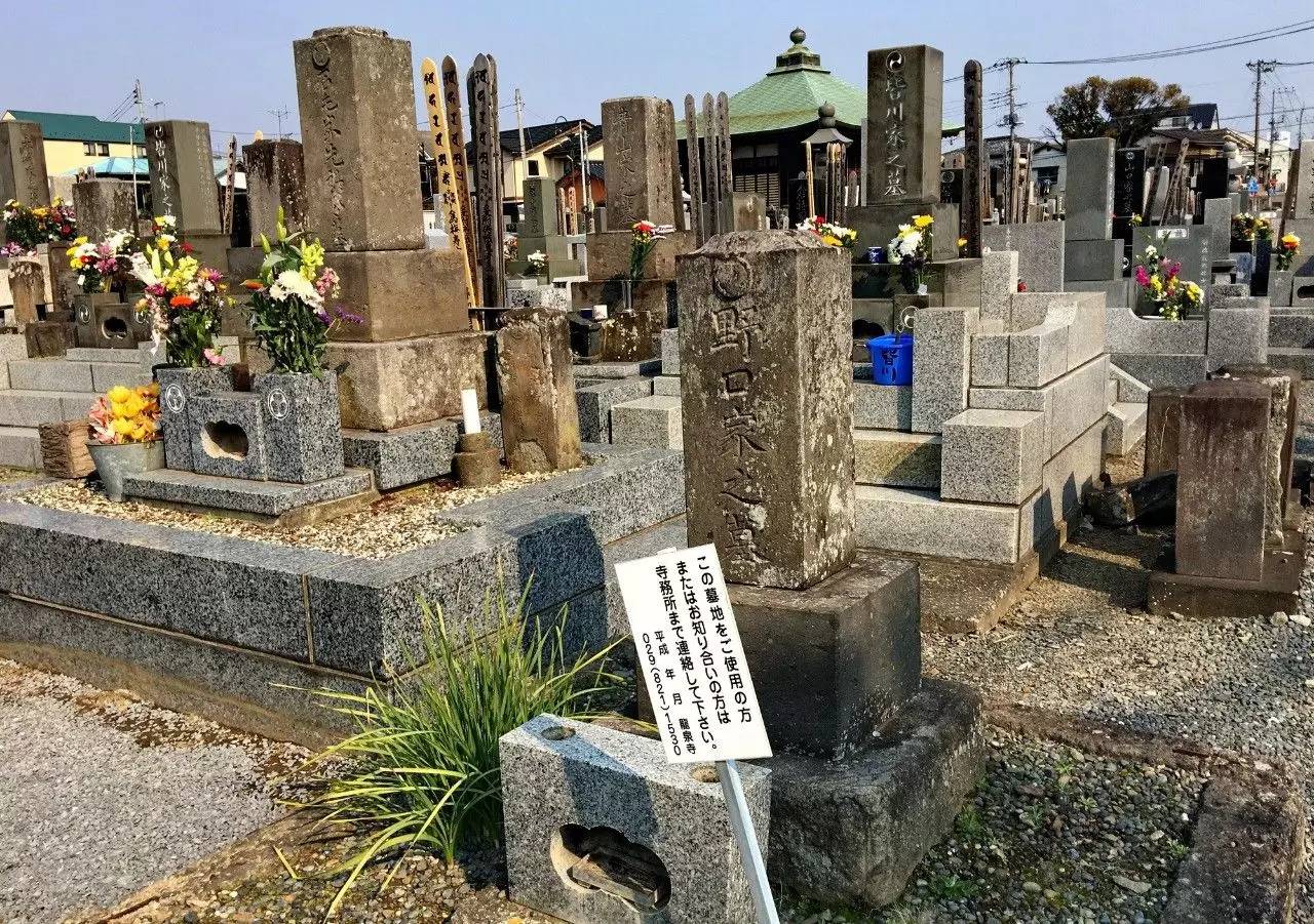 日本怎把墓地建在居民区,是缺地呢还是思念故人?