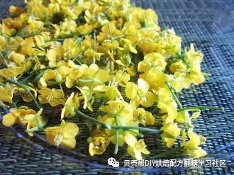 干粮|潮流可食用花材,关于吃花的种种,你get做法了么