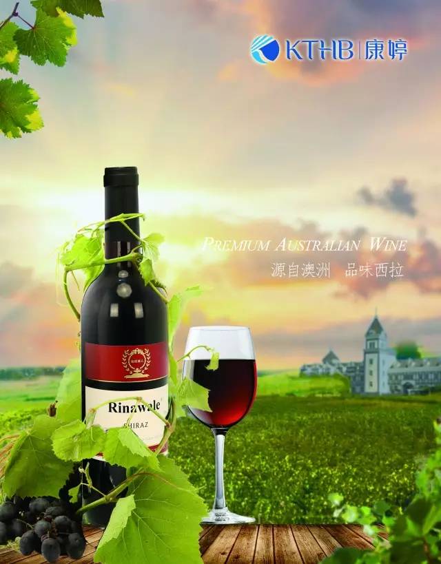 瑞倪维儿西拉红葡萄酒--带您品味不一样的生活