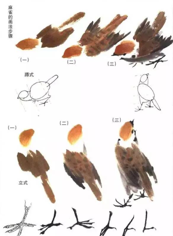 麻雀太平鸟绘画技法详解