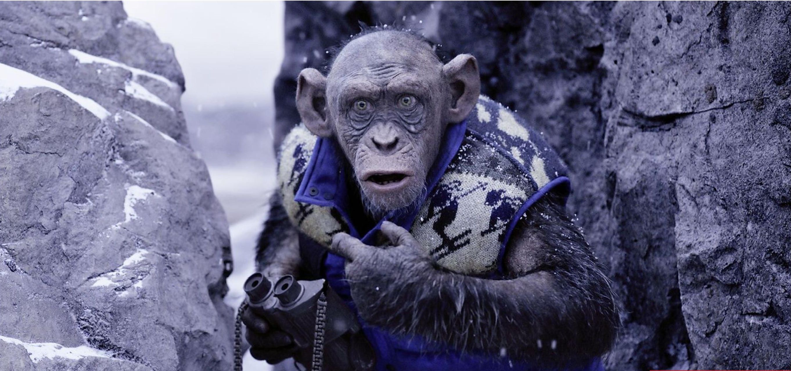 《猩球崛起3：终极之战》最后的人猿决战 - 哔哩哔哩