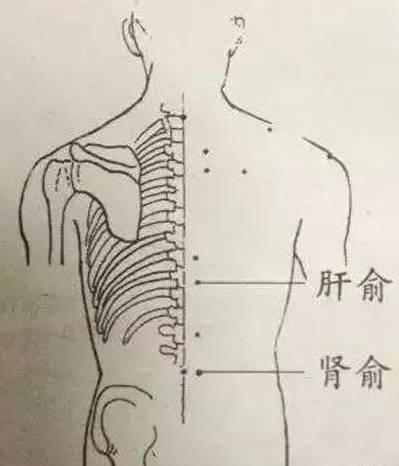 绘灸人口的意思_喝水都胖的人如何用艾灸调理 艾艾贴泽红总代教你使用方法(2)