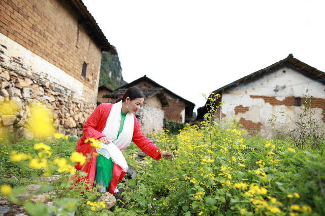 人口较少的山地民族_人口较少的山地民族仫佬族