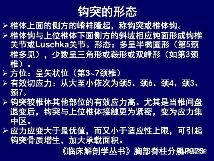 骨肌组推荐颈椎x线片阅读