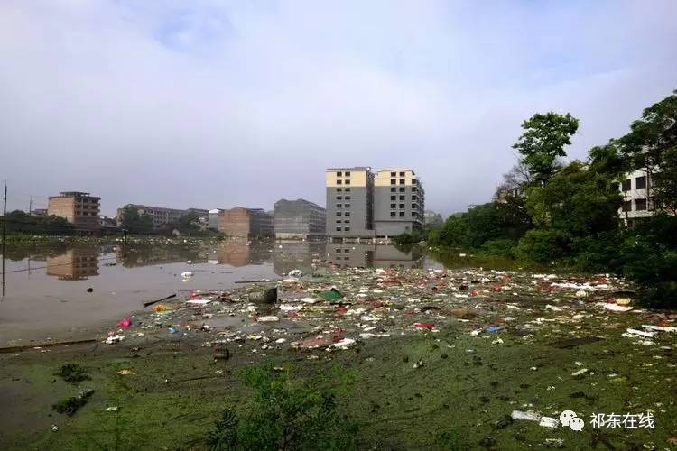 粮市镇人口_祁东县粮市镇街边图片