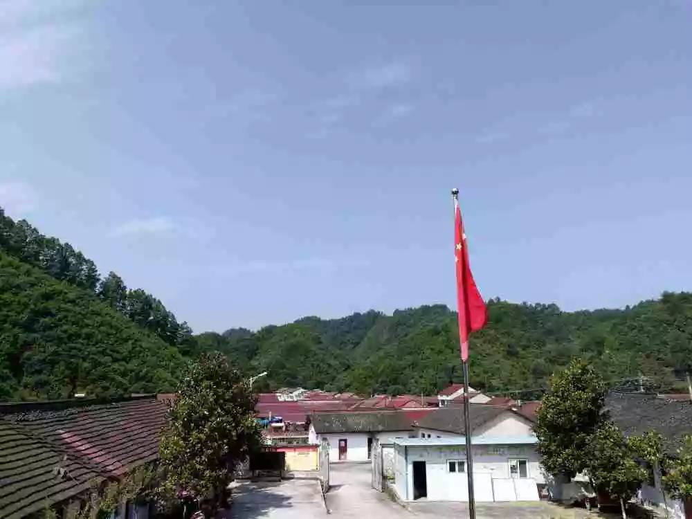 票选城固最美乡村,崔家山村?郑家坡村?张家湾村?