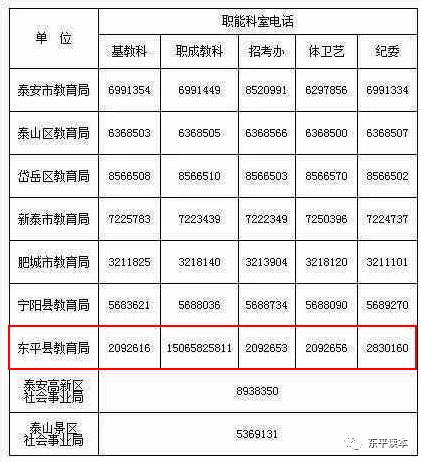 设计年限内计划人口数表格_暑假计划表格设计(2)