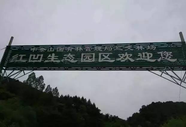 灵石奇刻 红凹生态园区位于浮山县寨圪塔乡三交林场,从县城出发大约图片