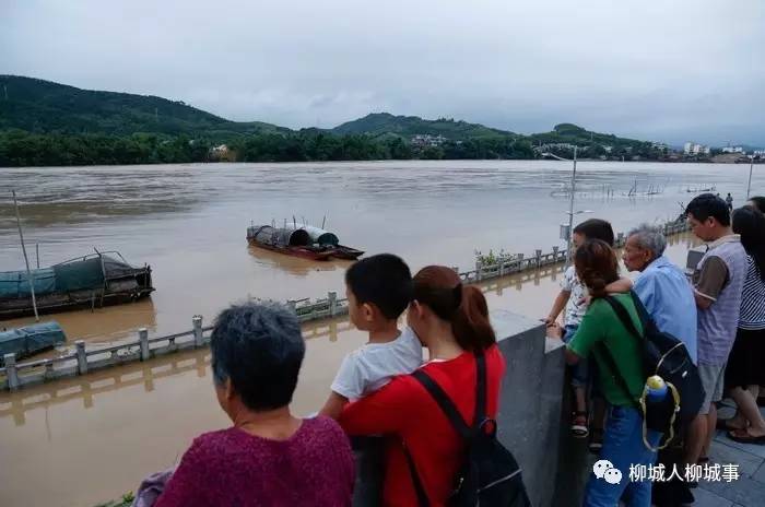 【撸袖实干】洪峰过境后,600人操家伙清淤泥,迅速还原柳城县城美貌