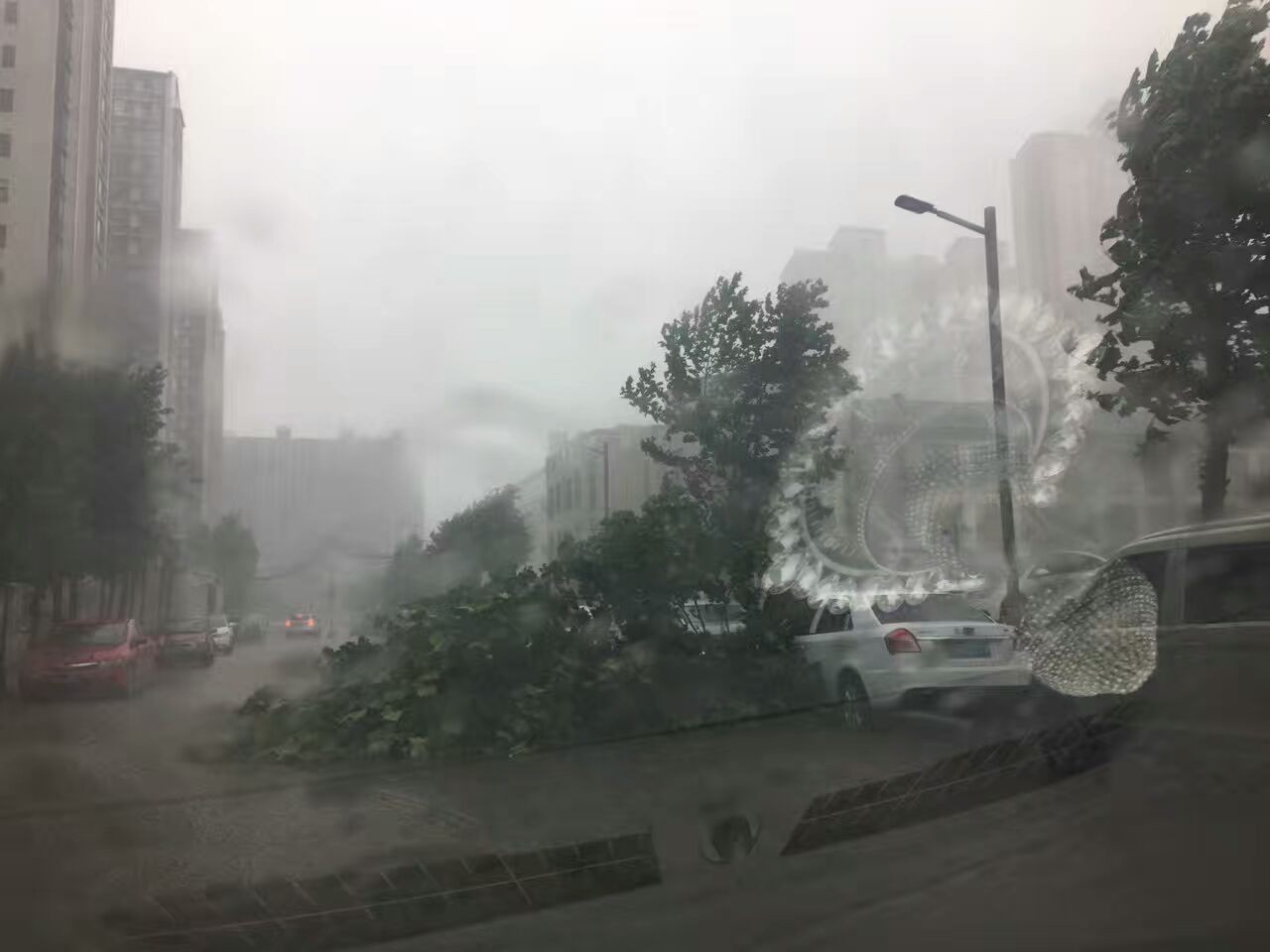 狂风暴雨杀到水城!雷电黄色预警:阵风9级