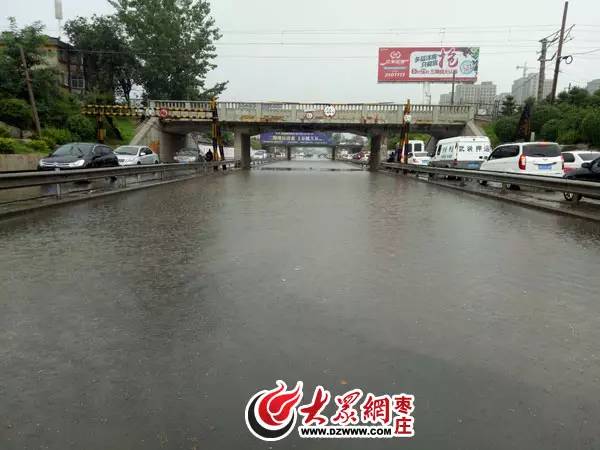 枣庄市多少人口_外地人看枣庄 大城市雏形基本形成(2)