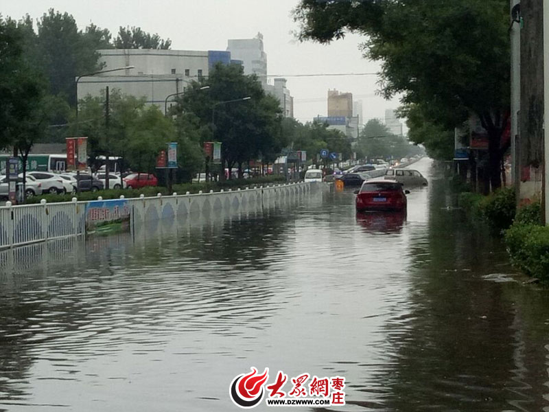 枣庄市多少人口_外地人看枣庄 大城市雏形基本形成(3)