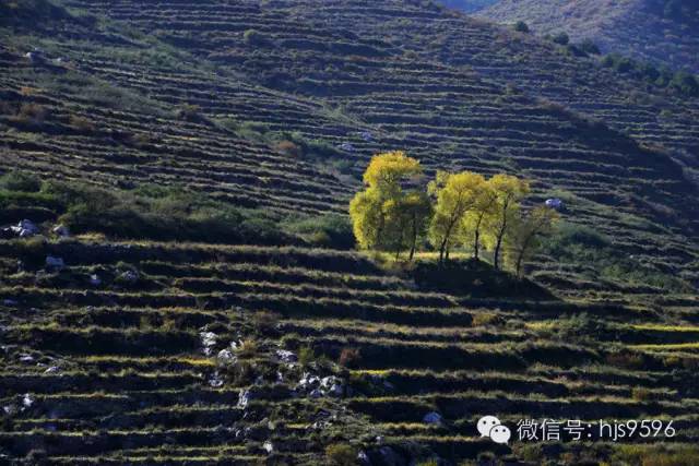 定襄县人口_定襄县地图(2)