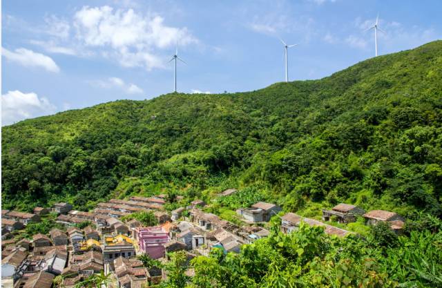 最实用的雷岭摘荔枝攻略线线君诚意出品