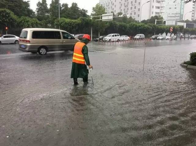 龙安镇人口_绵阳一条河道成私家菜地(3)