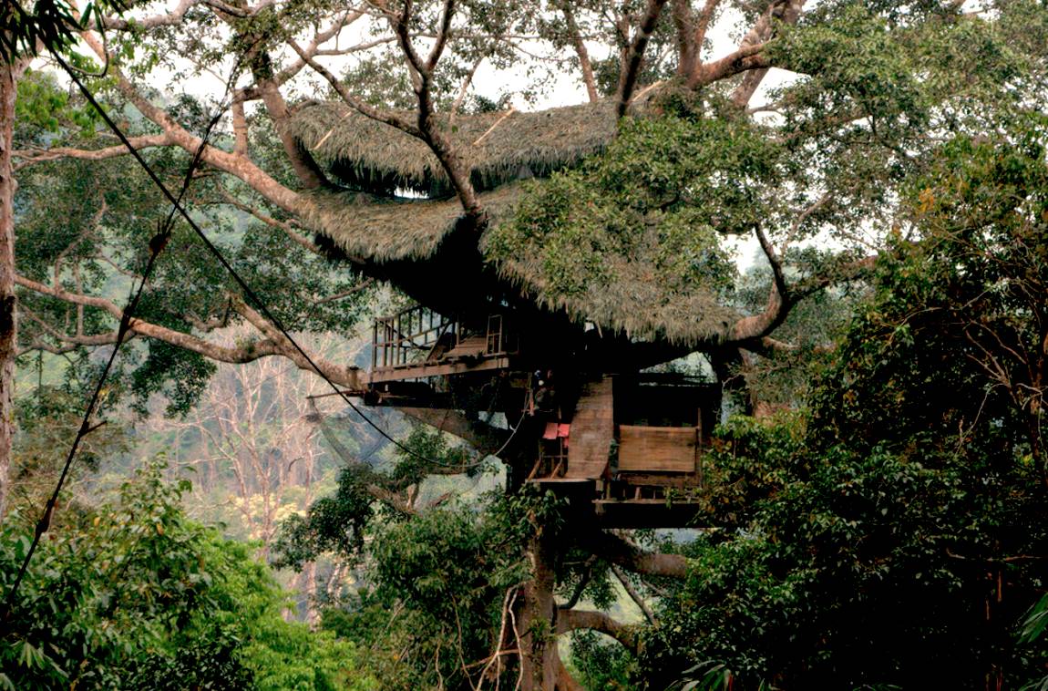 老挝| 荡滑索,住树屋,去东南亚当一只长臂猿吧