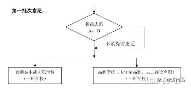 学校类型怎么填