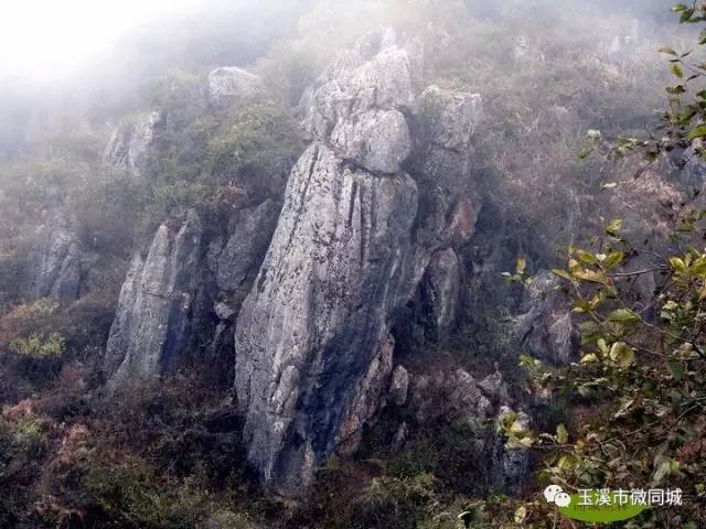 玉溪市有多少人口_云南18个城市,美的各有千秋