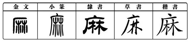 每日一字丨麻