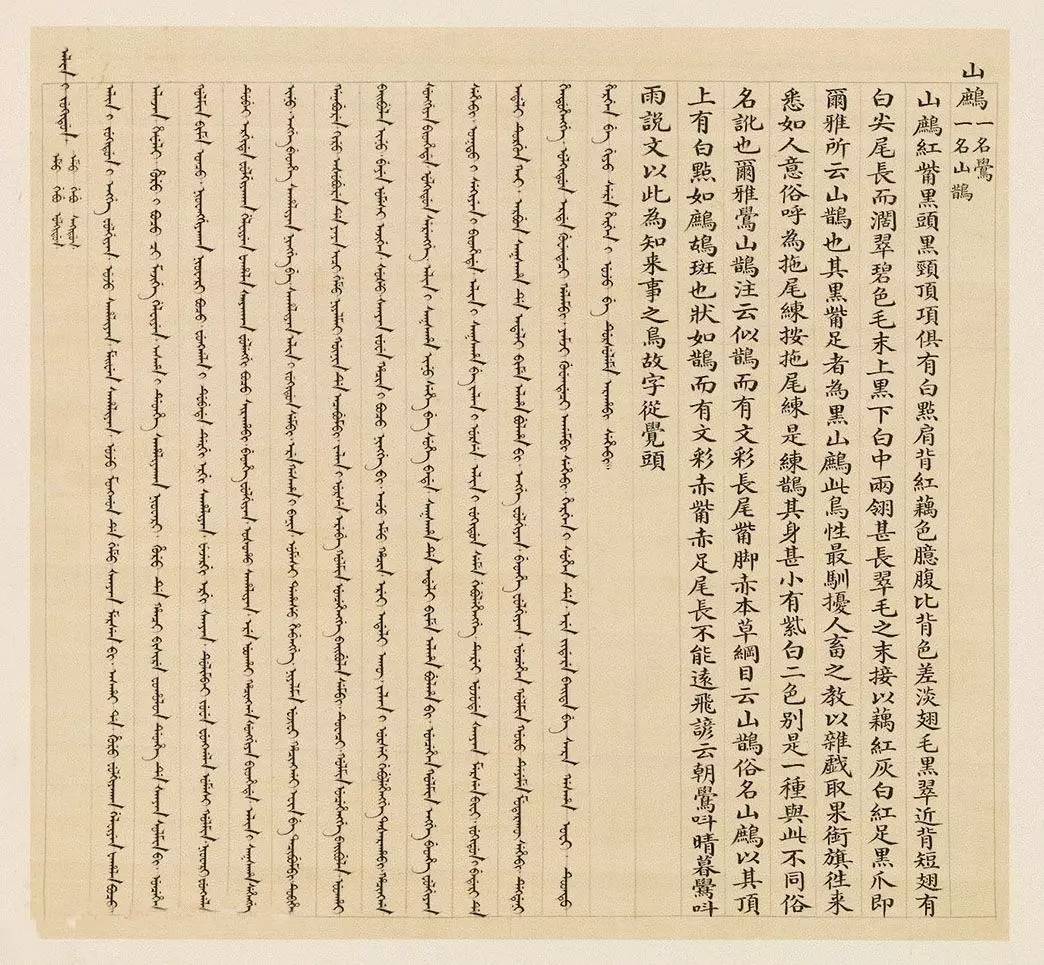 汉文满文字画欣赏《清人鸟谱册》