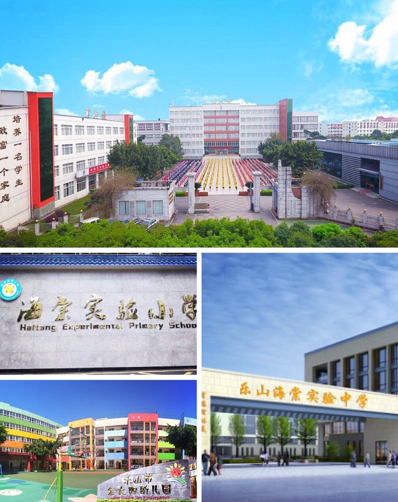 惠灵教育集团投资兴办了 乐山市计算机学校,金太阳幼儿园,海棠实验