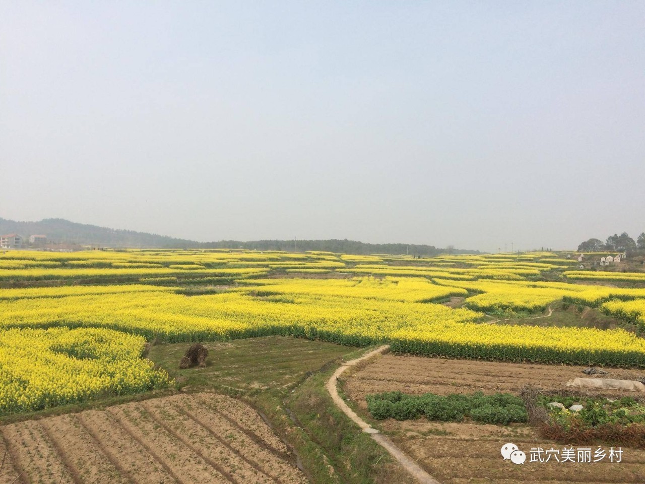 武穴首届"最美家乡网络评选"系列展播之五"美丽乡村—武山寨村"