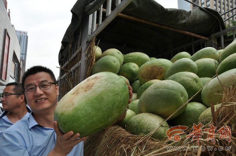 大荔西瓜滞销《华商报》连续报道后大部分西瓜已卖出(组图)