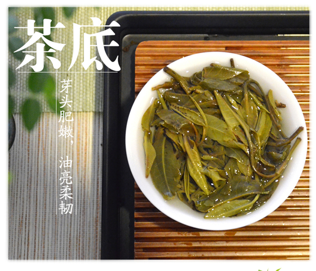 莽枝茶特点莽枝古茶园,茶树属中小叶种.