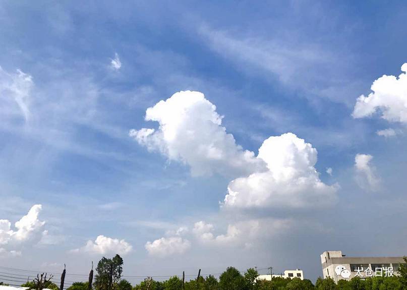 教育 正文  相比上周一言不合的狂风暴雨 近两天太仓的天气可以说是好