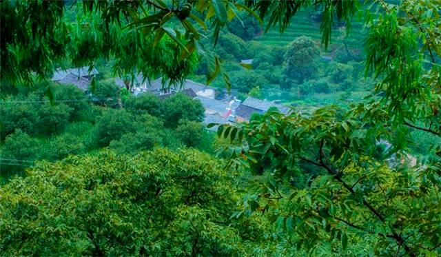 旅游 正文  溪水清得让人怜爱 加上葱葱茏茏的 树木 古朴的建筑 只看