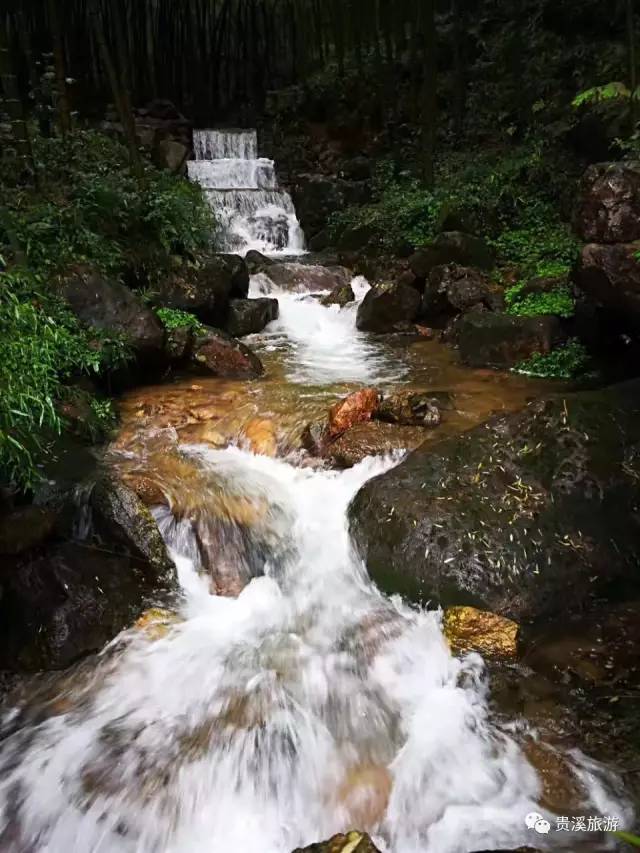 【公告】青茅境景区恢复开放,这里有不可错过的雨后仙境!