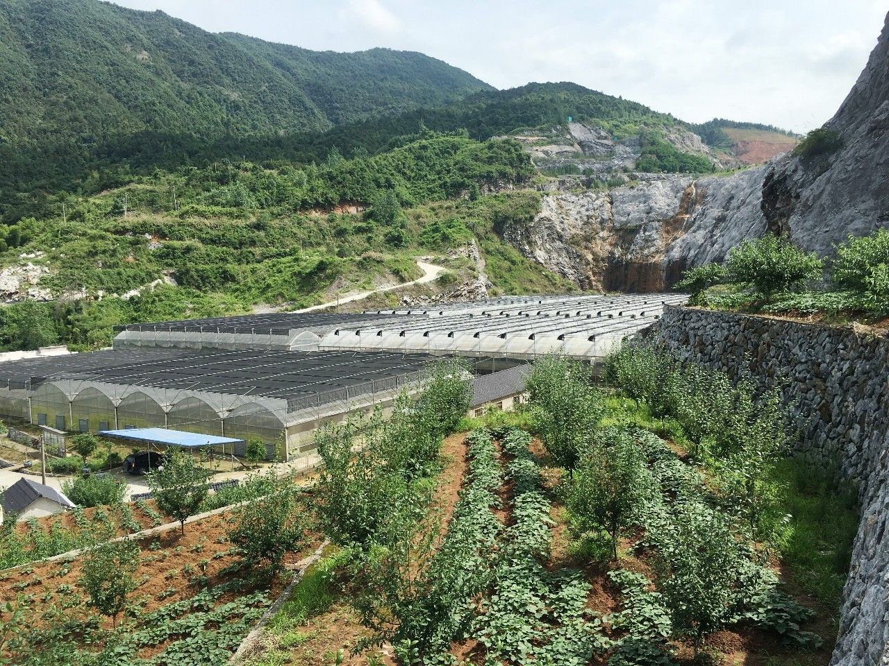 富阳区渌渚镇岘口村总人口_富阳区大源镇