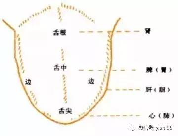 母婴 正文  全息耳疗是根据中医经络理论,由针灸发展变化而来,通过