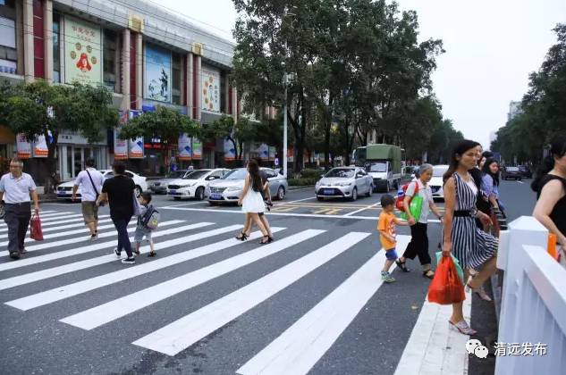 车辆在连江路段礼让行人线前等待市民通过马路.