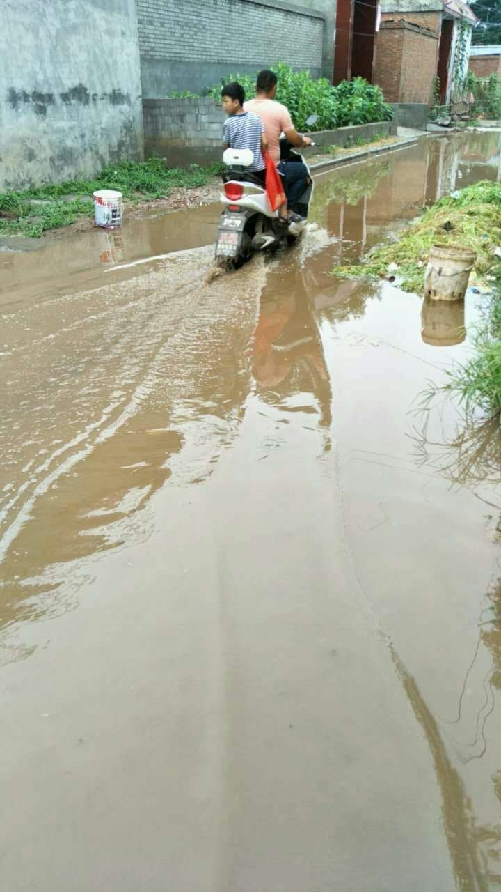 网爆武陟三阳付村一街道下雨如"撑船",事出有因