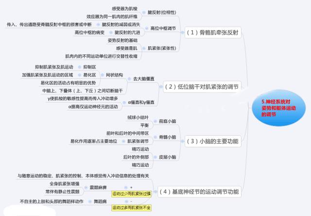 【典藏】生理学 思维导图