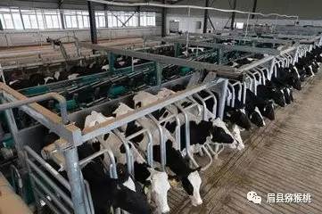 【政策宣传】现代畜牧业将迎来绿色发展