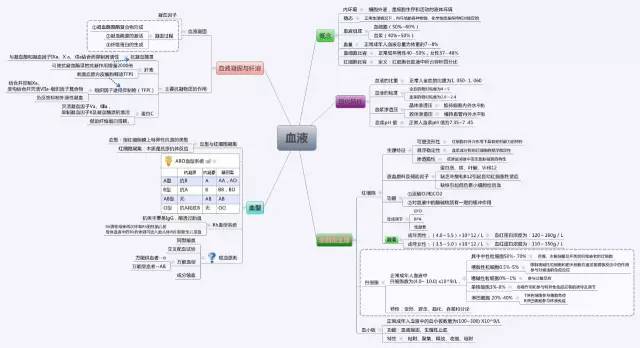 【典藏】生理学 思维导图