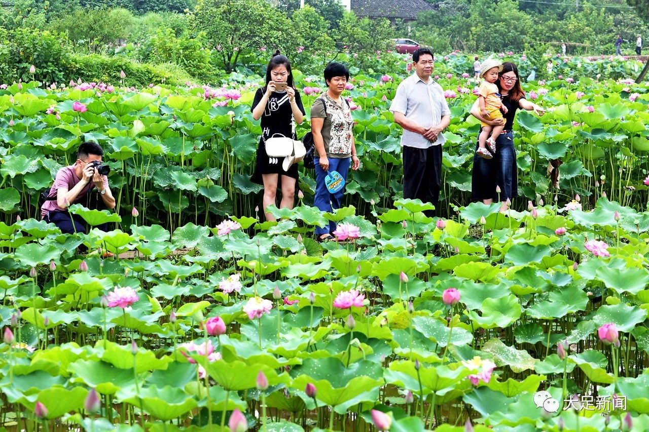 大足第七届荷花旅游文化节开幕