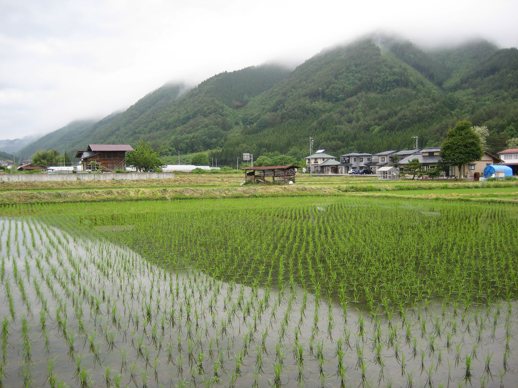 日本农村人口_日本人眼里的中国农村 惨得不能再惨(2)