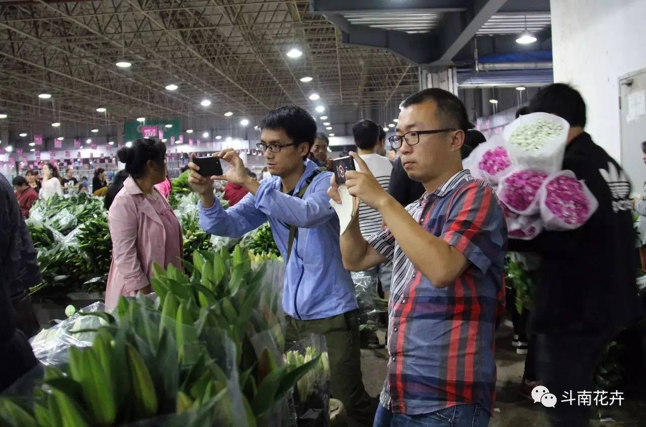 全国网媒大咖夜访斗南花市 激动兴奋玩起直播