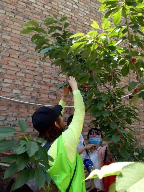 快乐的幼儿园体验—淘乐思果园国际园杜怡然家长体验感受