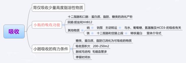 【典藏】生理学 思维导图