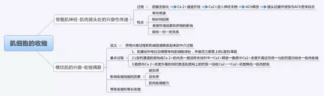 【典藏】生理学 思维导图