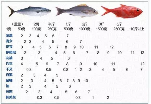【鱼竿\/渔具】不同重量的鱼,如何搭配不同号数