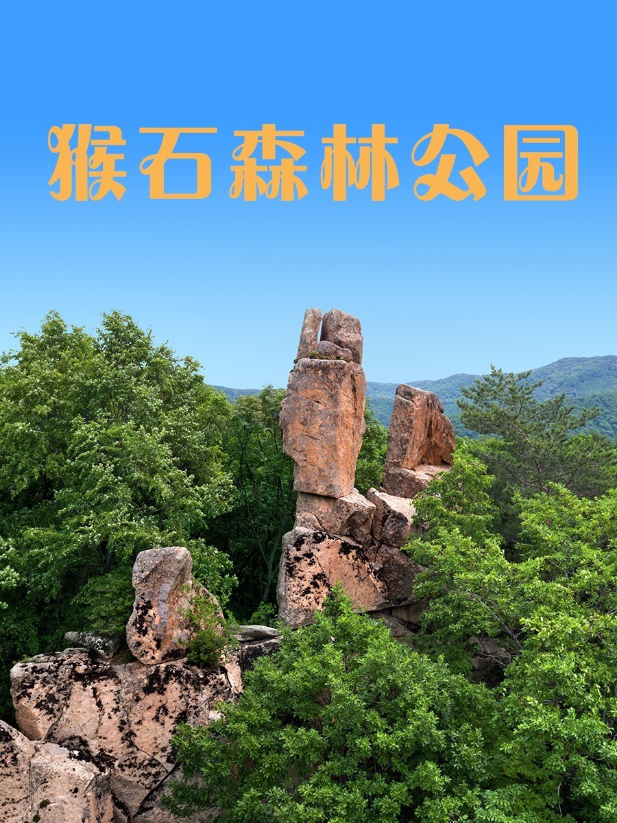 抚顺旅游猴石森林公园