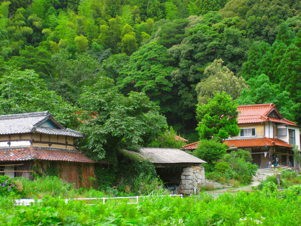 实拍日本农村，真的很干净