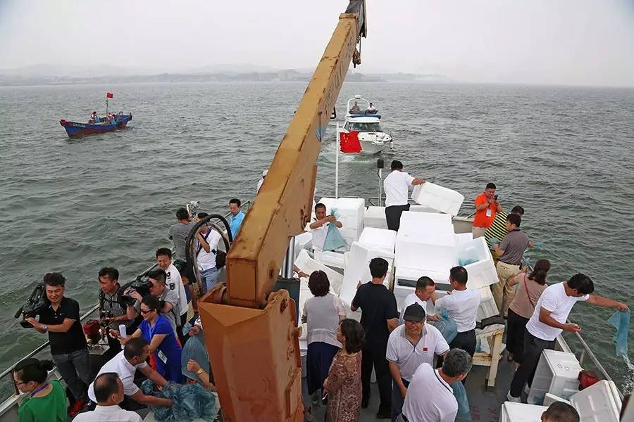 【区县旅游"2017旅顺渔人节"隆重举行!